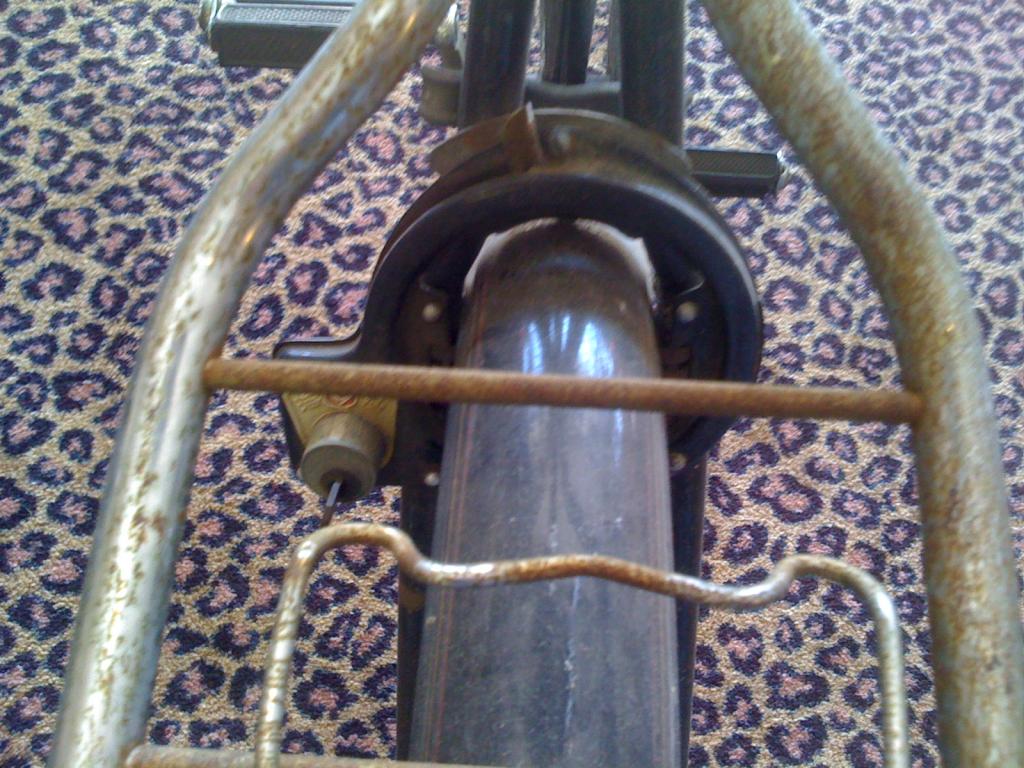 Picture 005.jpg