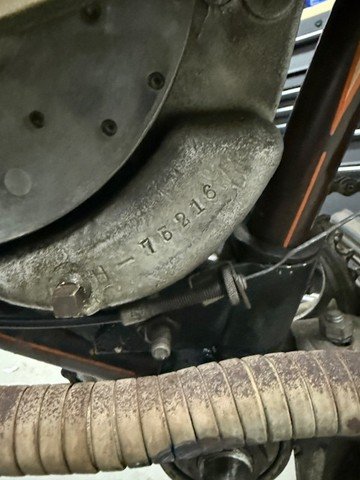 Picture12.jpg
