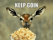 popcorn-lurking (1).gif