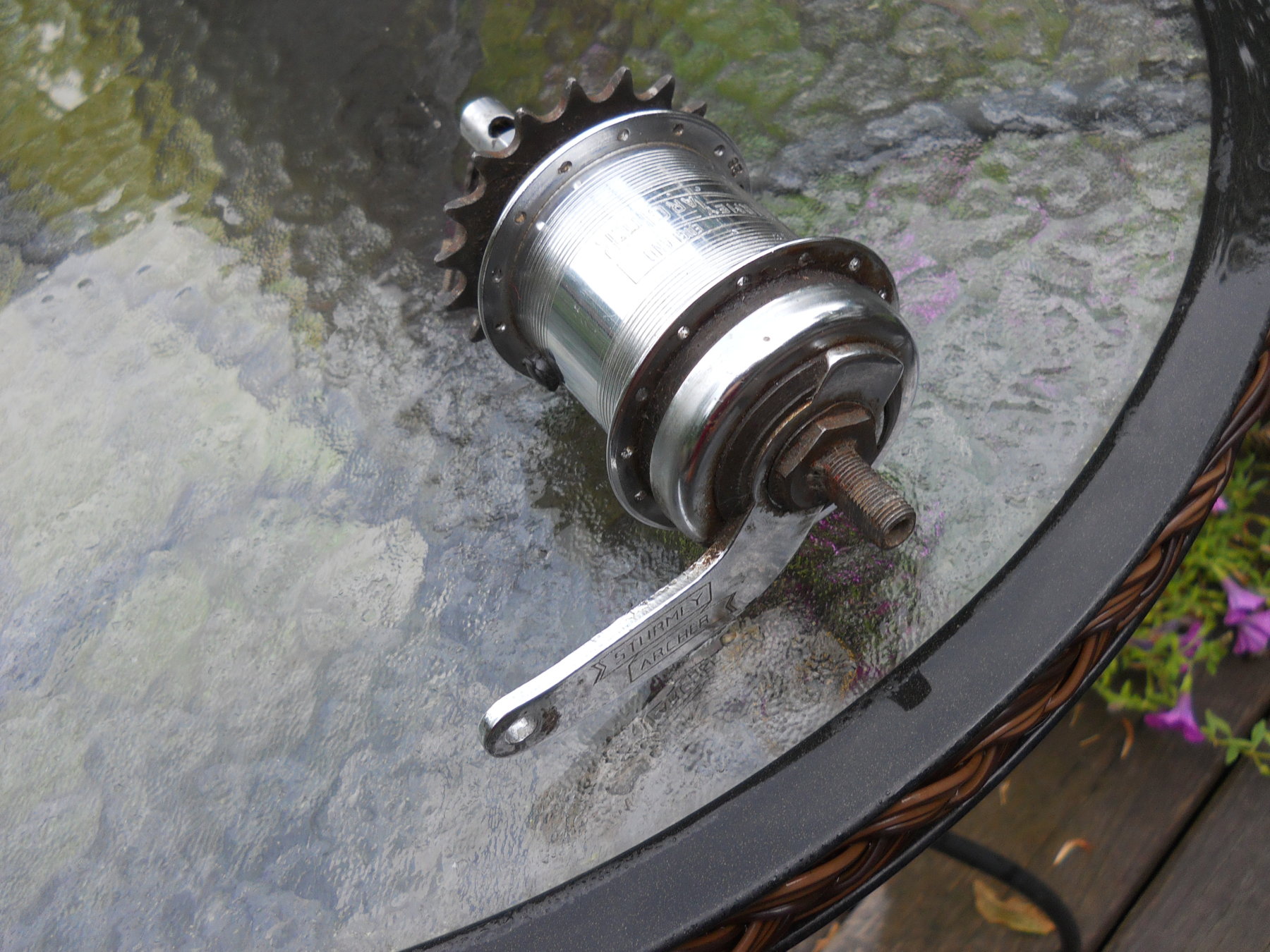3 speed hub with coaster brake