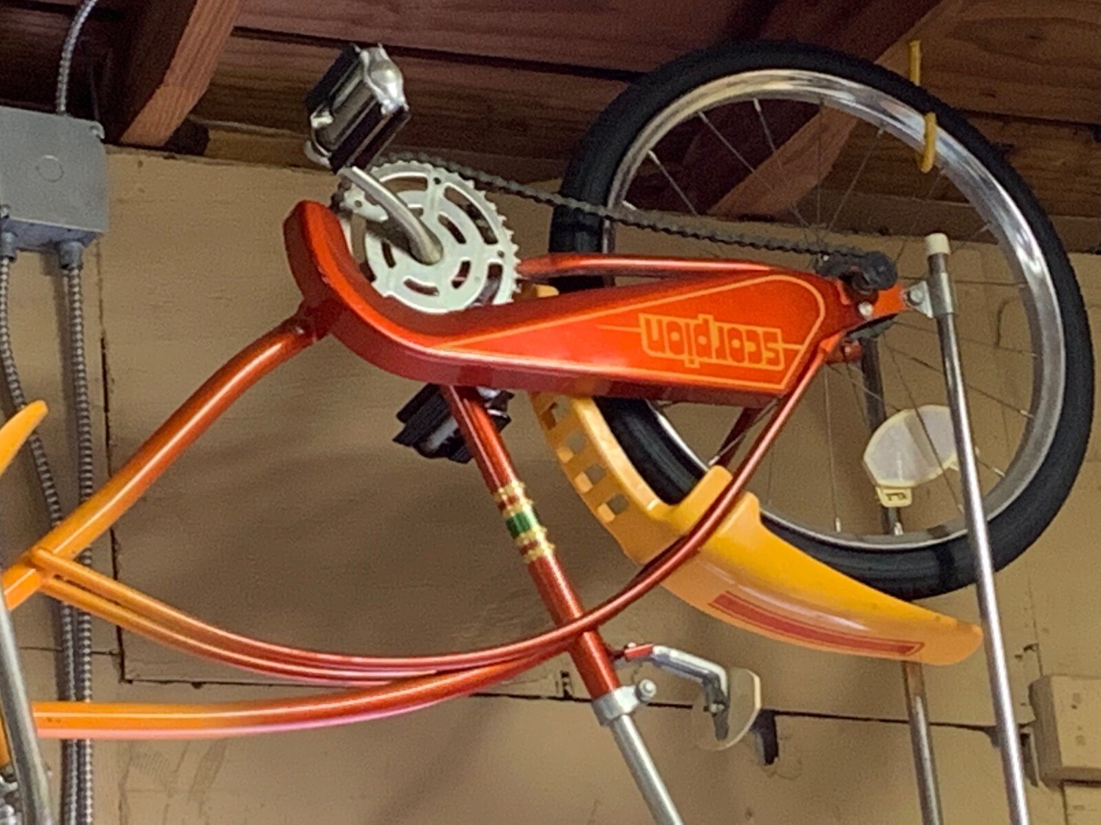 y bike 2.jpg