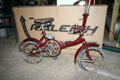 road puppy folding bike