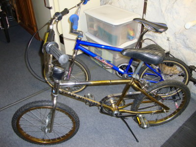 Team murray cheap bmx bike