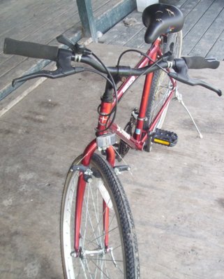 schwinn mirada mountain bike value