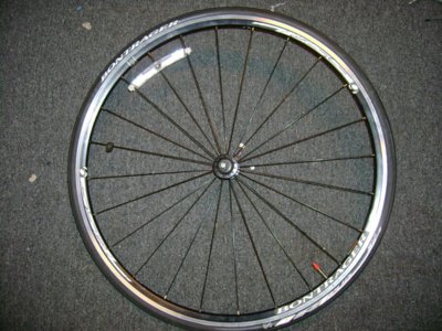 bontrager.jpg