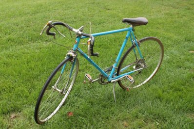 1975 2024 schwinn traveler