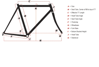 frame measurements.gif