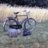1950_Raleigh