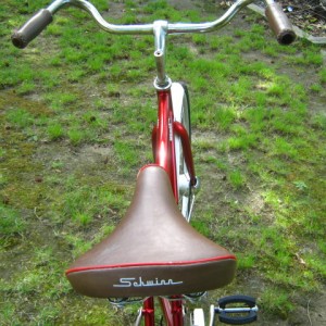 Schwinn 28" SID