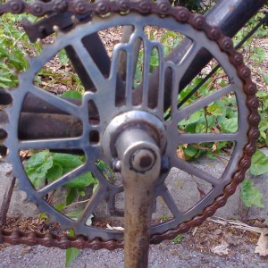 1933 Rudge Ladies