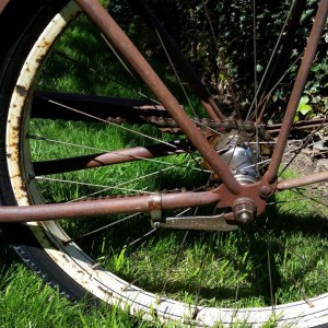 Boys 24" Schwinn