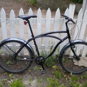 Schwinn Panther (2008)