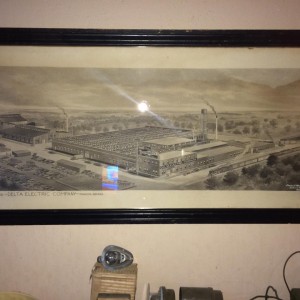 IMG 0515