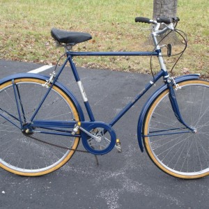 73 raleigh bike