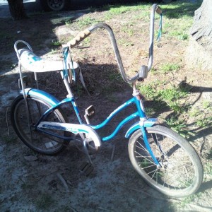 80's Schwinn Fairlady