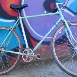 F the fenders, A 6km ride along the Tiber river in Roma with the kids