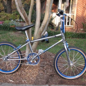 schwinn sx2000 bmx