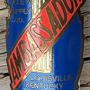 AMBASSADOR 02.jpg
