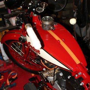 Trim strip to match saddle