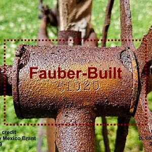 0d9ee69ef8f1ff75315e881aa47c0f06  bramt bulldog fauber.jpg