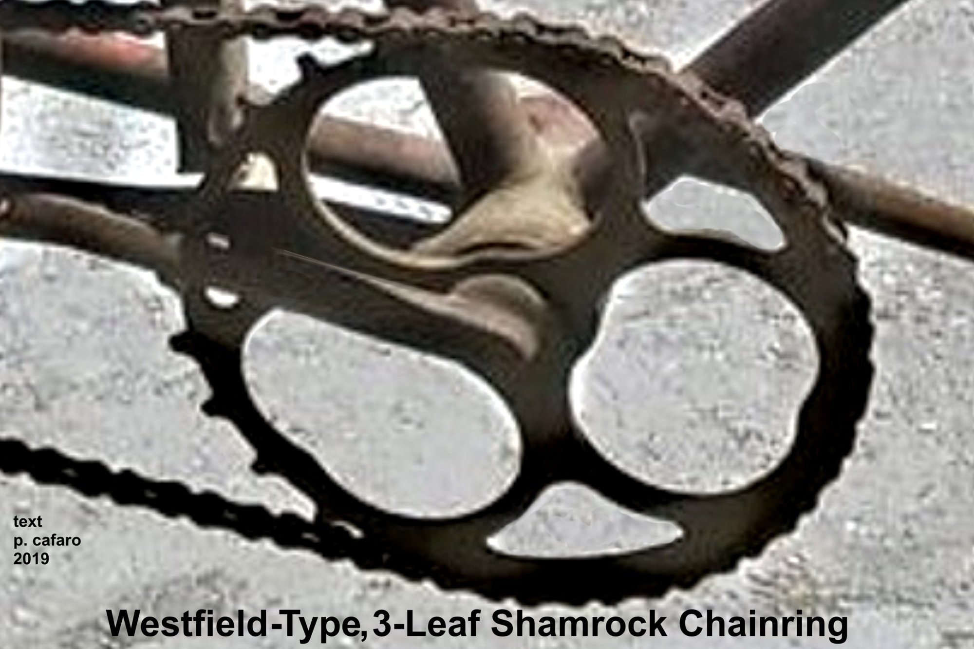 20190518_124310  possible rami  02.jpg