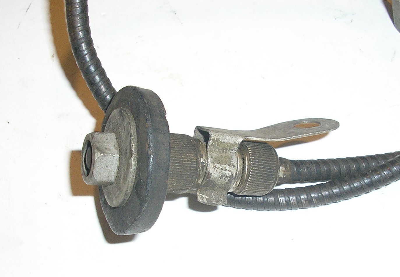 P1013821.JPG