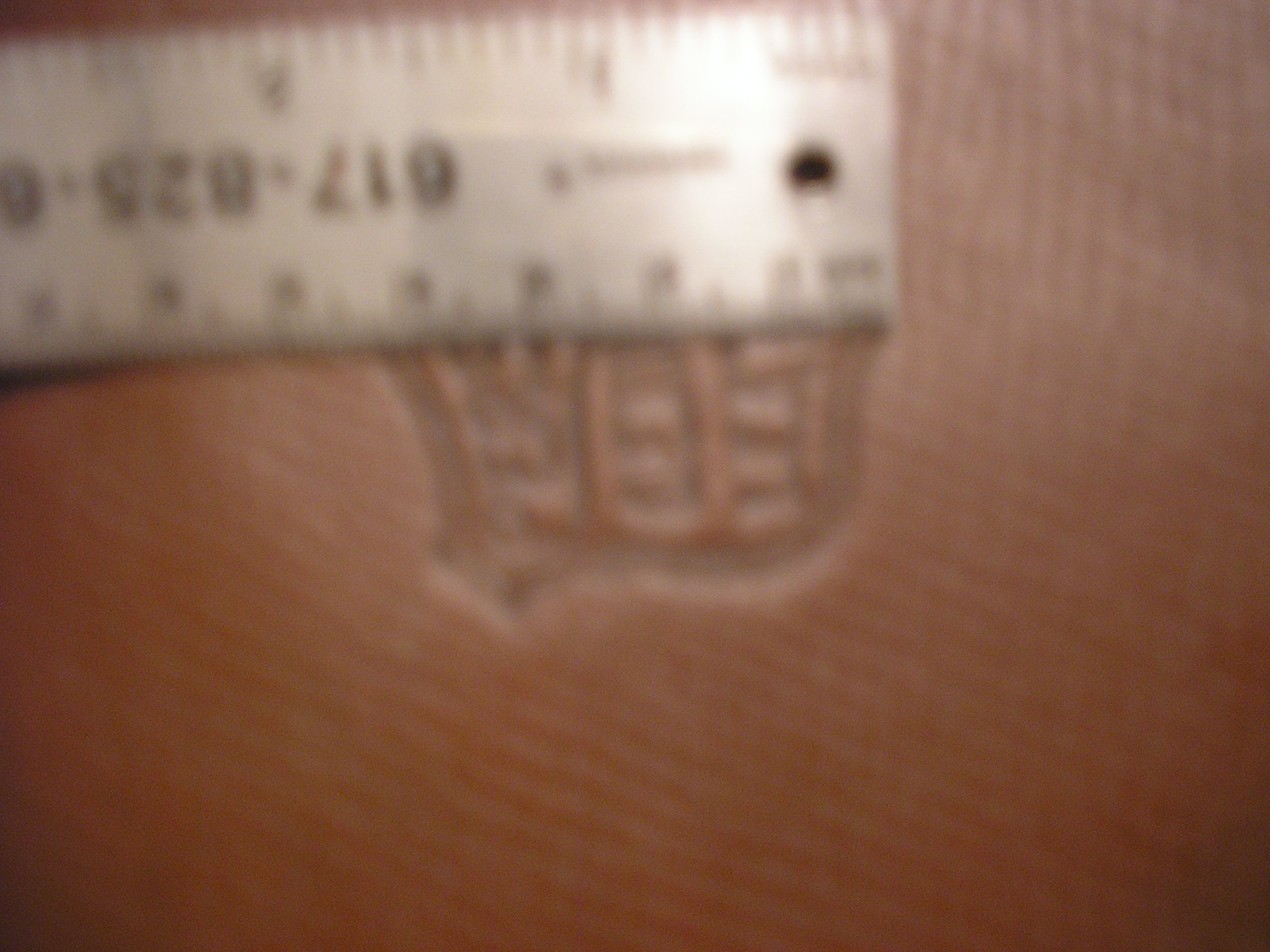 P1014221.JPG